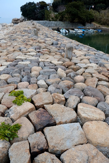 画像に alt 属性が指定されていません。ファイル名: 37152f8ac268dcc0114c4d0c101b4b7ecd586f1484800cd14ca64b022daaacd6.jpeg