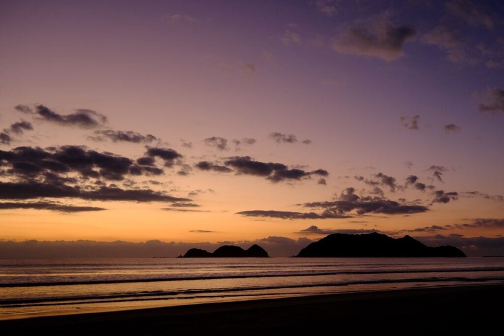 画像に alt 属性が指定されていません。ファイル名: daab698b7a71509cea523eacf5d45e013e8fa7e6ffde14dc32430fd2e2c1bdbb-1024x683.jpeg